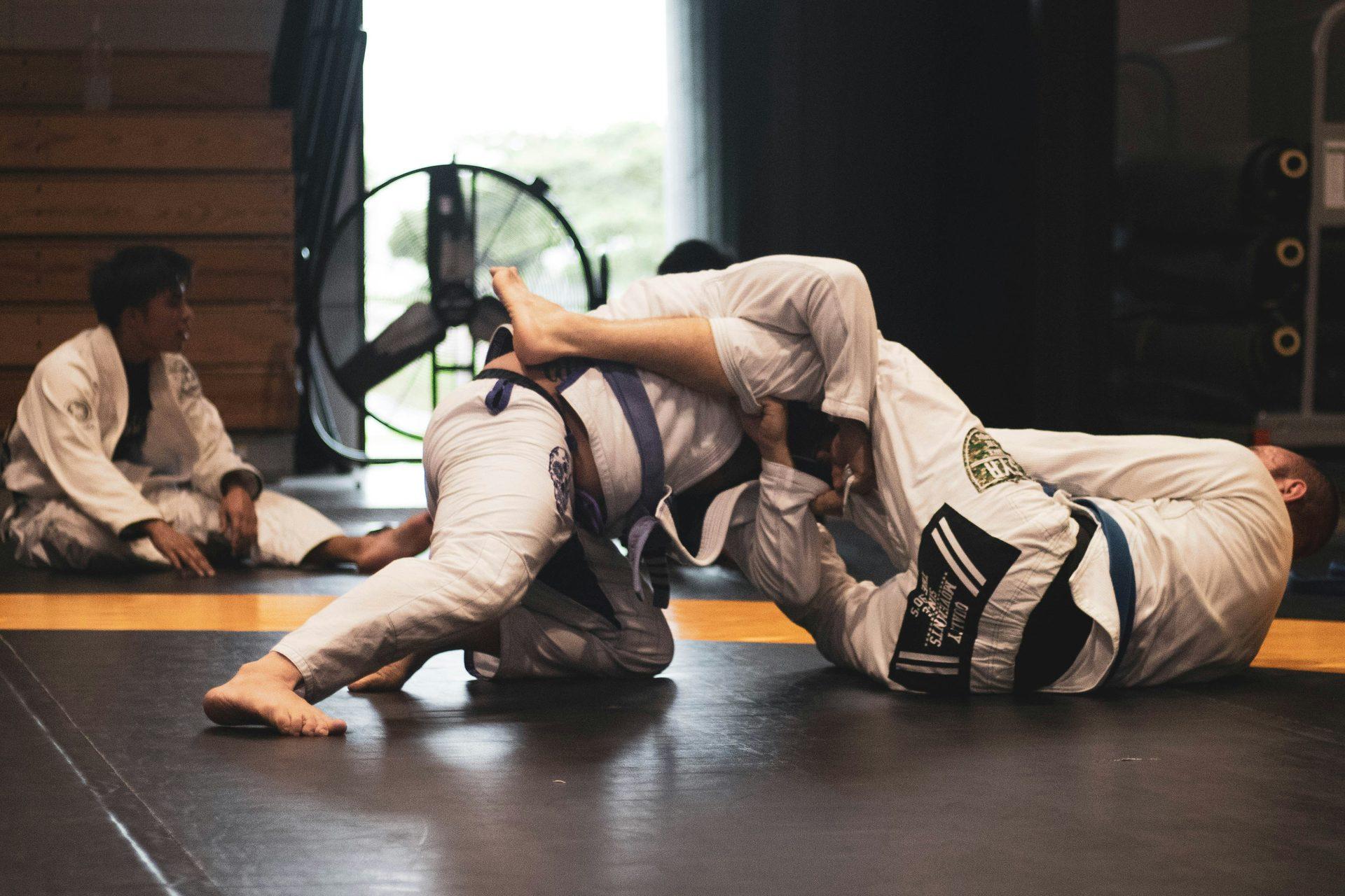 Martial Arts Equipment slide 2
